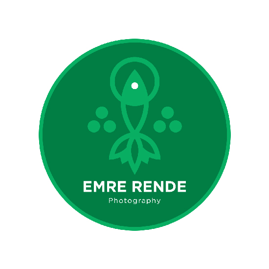 Emre Rende
