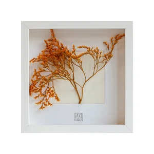 Square 25 Tablo