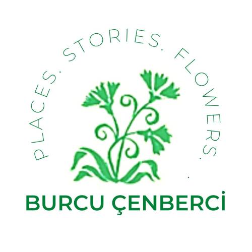 Burcu Çenberci Art