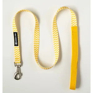 Yellow Ziggy Köpek Gezdirme Kayışı