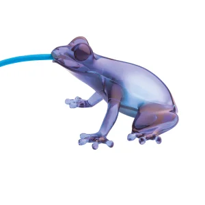variant