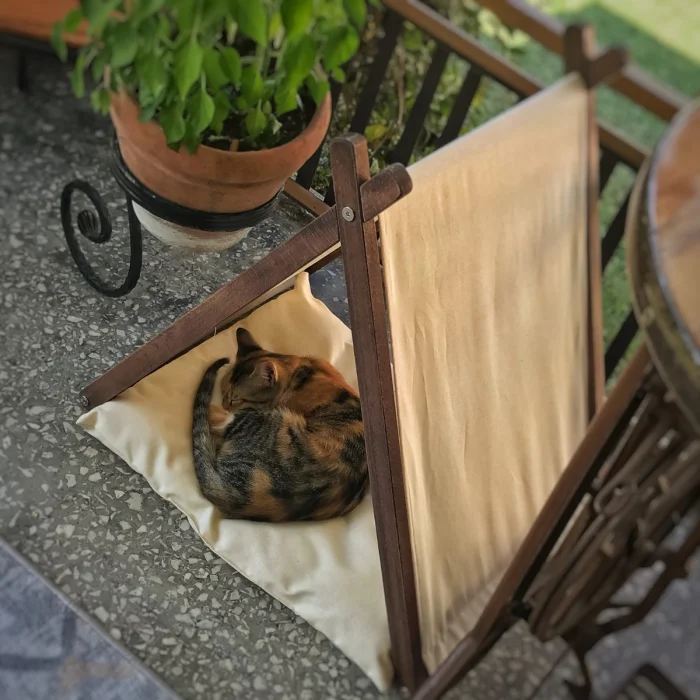 Ketu Kedi Evi - Bej image 2