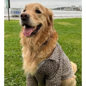 Büyük Irk Leopar Desenli Gömlek