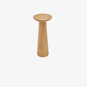 Mushroom Natural 1