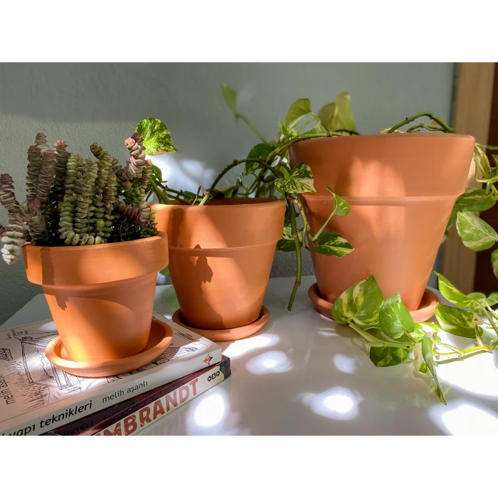 Terracotta Konik Saksı + Tabak image 4