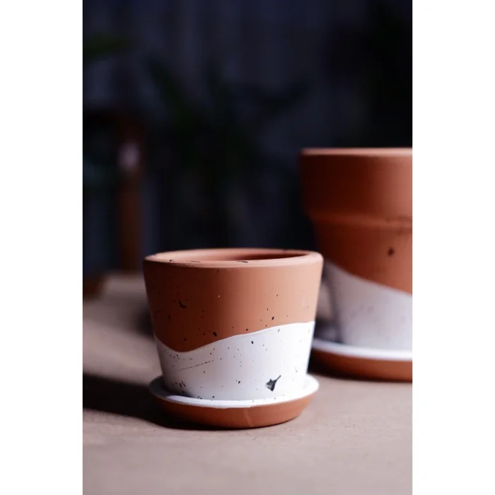 Terracotta Savana Saksı + Tabak image 3