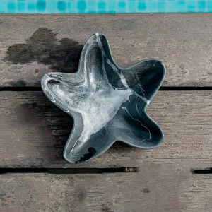 variant