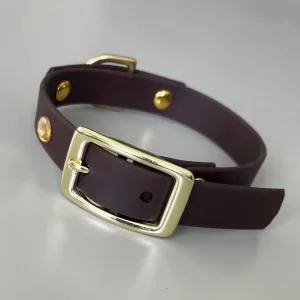 Biothane Vegan Köpek Tasması