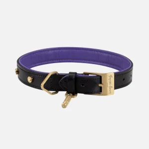 Dog Collar - Köpek Tasması Steel