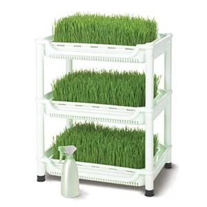 Sproutman's Topraksız Buğday Çimi Yetiştiricisi