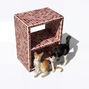 variant