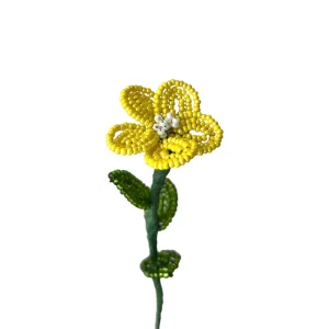variant