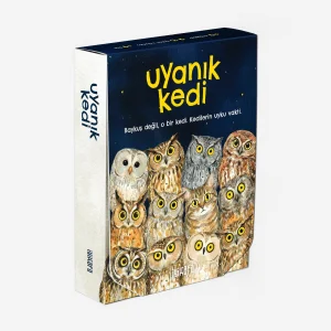 Uyanık Kedi - Modern Tasarımlı Eğitici Eşleştirme Oyunu
