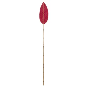 variant