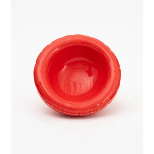 Blow Up Lisa Coral Gloss Kase