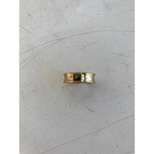 Treasure Haki Yüzük