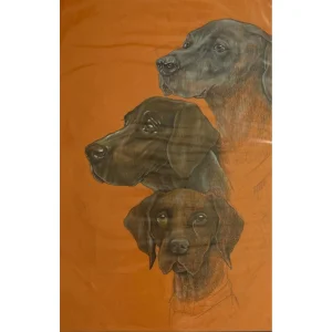 Köpekler Turuncu El Çizimi Resim