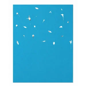 Seagulls Akrilik Tablo